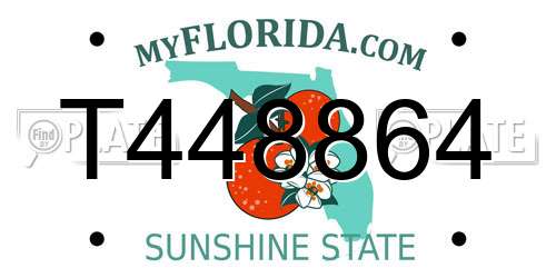 T448864 Florida License Plate