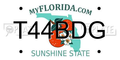 T44BDG Florida License Plate