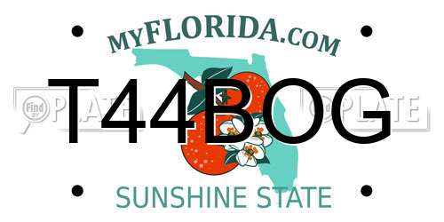 T44BOG Florida License Plate