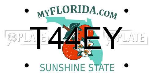 T44EY Florida License Plate