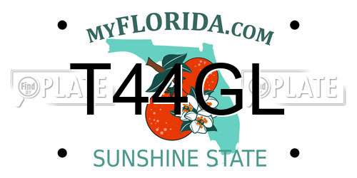 T44GL Florida License Plate