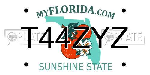T44ZYZ Florida License Plate