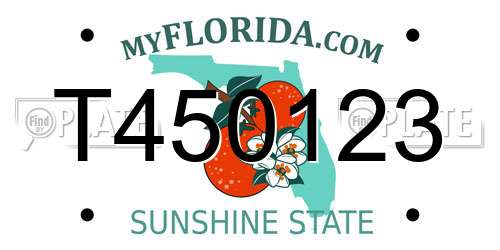 T450123 Florida License Plate