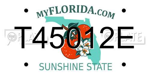 T45012E Florida License Plate