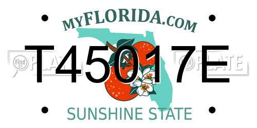 T45017E Florida License Plate