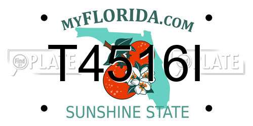 T4516I Florida License Plate