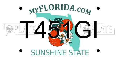 T451GI Florida License Plate
