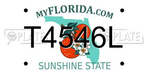 T4546L Florida License Plate