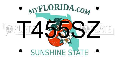 T455SZ Florida License Plate