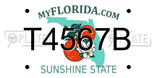 T4567B Florida License Plate