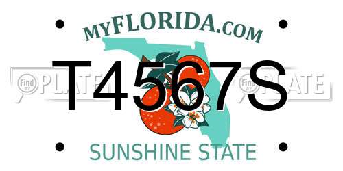 T4567S Florida License Plate