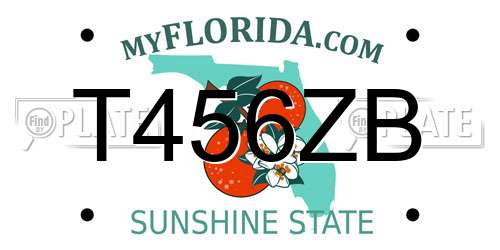 T456ZB Florida License Plate