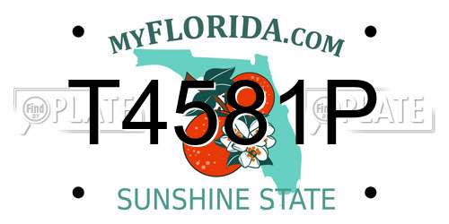 T4581P Florida License Plate