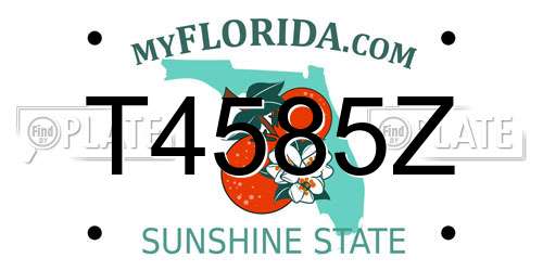 T4585Z Florida License Plate