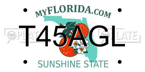 T45AGL Florida License Plate