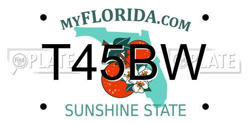 T45BW Florida License Plate