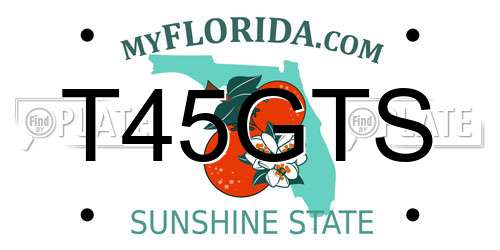 T45GTS Florida License Plate