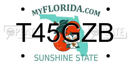 T45GZB Florida License Plate