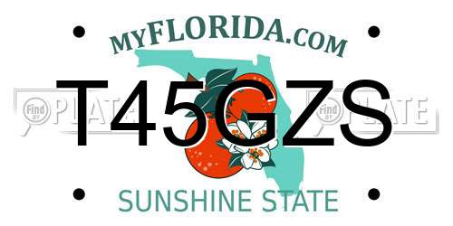 T45GZS Florida License Plate