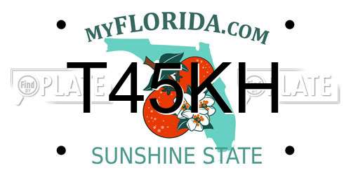 T45KH Florida License Plate