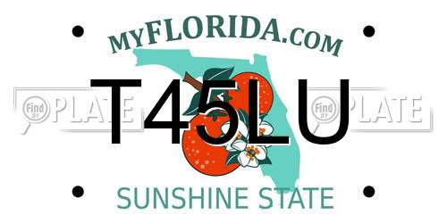 T45LU Florida License Plate