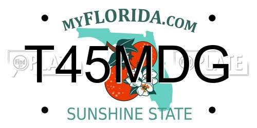 T45MDG Florida License Plate