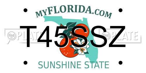 T45SSZ Florida License Plate