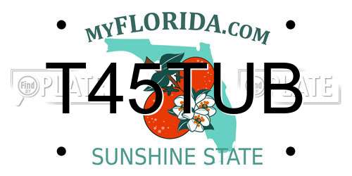 T45TUB Florida License Plate