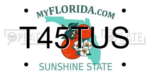 T45TUS Florida License Plate