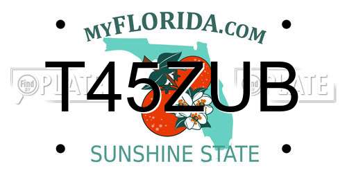 T45ZUB Florida License Plate