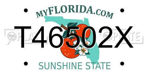 T46502X Florida License Plate