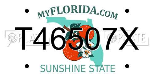 T46507X Florida License Plate