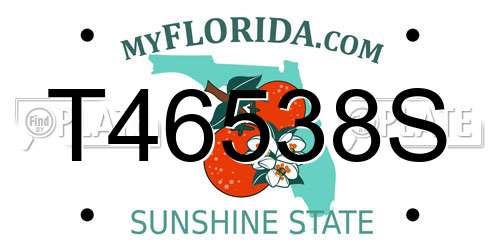 T46538S Florida License Plate