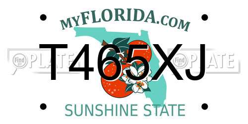 T465XJ Florida License Plate