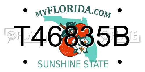 T46835B Florida License Plate