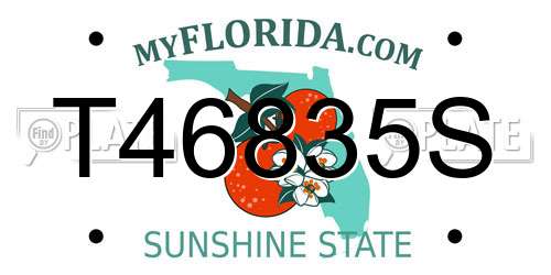 T46835S Florida License Plate