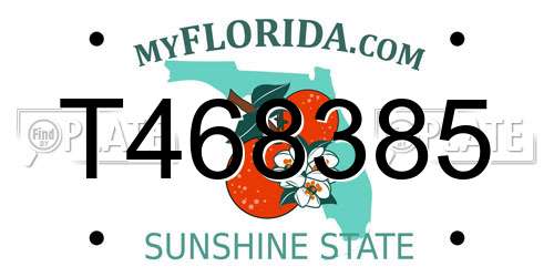 T468385 Florida License Plate