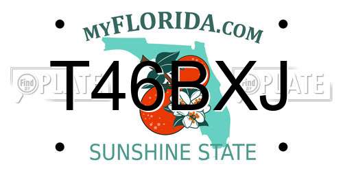 T46BXJ Florida License Plate