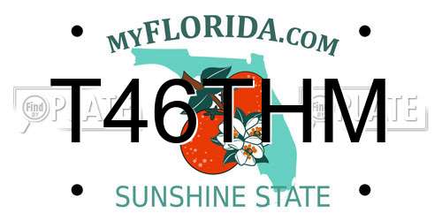 T46THM Florida License Plate