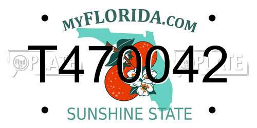 T470042 Florida License Plate