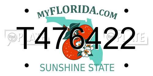 T476422 Florida License Plate