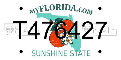T476427 Florida License Plate
