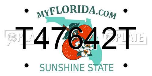 T47642T Florida License Plate