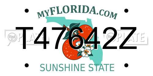 T47642Z Florida License Plate