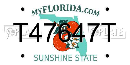 T47647T Florida License Plate
