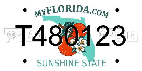 T480123 Florida License Plate