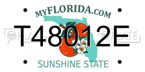T48012E Florida License Plate