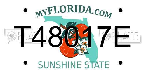 T48017E Florida License Plate