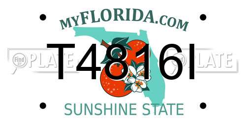 T4816I Florida License Plate