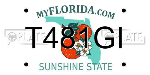 T481GI Florida License Plate